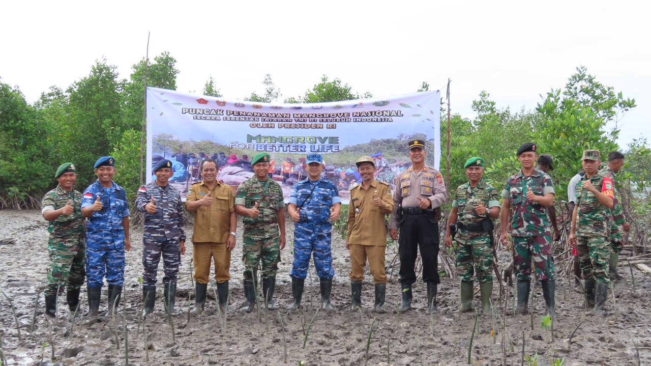 Peduli Dengan Kelestarian Alam Serta Cegah Abrasi, Kodim 1710/Mimika Bersama Satuan TNI-Polri Gelar Penanaman Mangrove