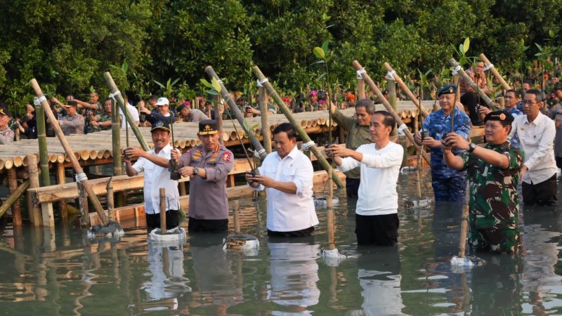 Tanam Mangrove Secara Serentak, Mabes TNI Raih Rekor Muri