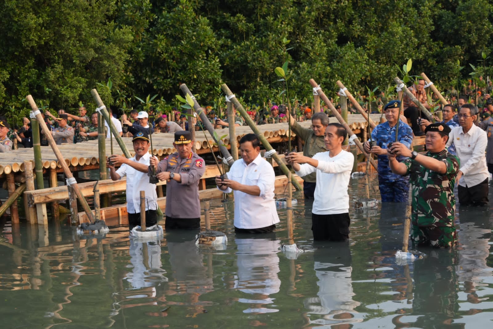 Tanam Mangrove Secara Serentak, Mabes TNI Raih Rekor Muri