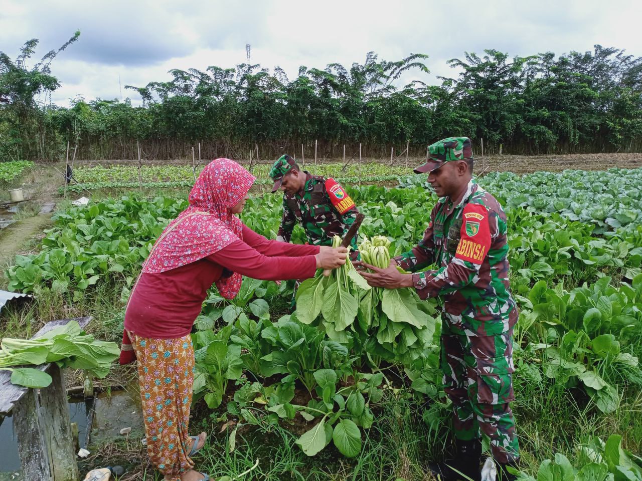 Wujudkan Program Ketahanan Pangan, Babinsa Koramil 1710-02/Timika Terus Dampingi Para Petani Di Wilayah Binaan