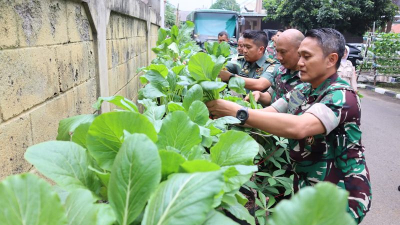 Kodim 0504/Jakarta Selatan Panen Sawi dilahan Ketahanan Pangan