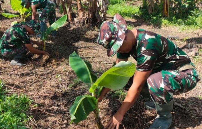 Wujudkan Ketahanan Pangan, Satgas Yonif 143/TWEJ Buka Kebun Bersama Di Papua