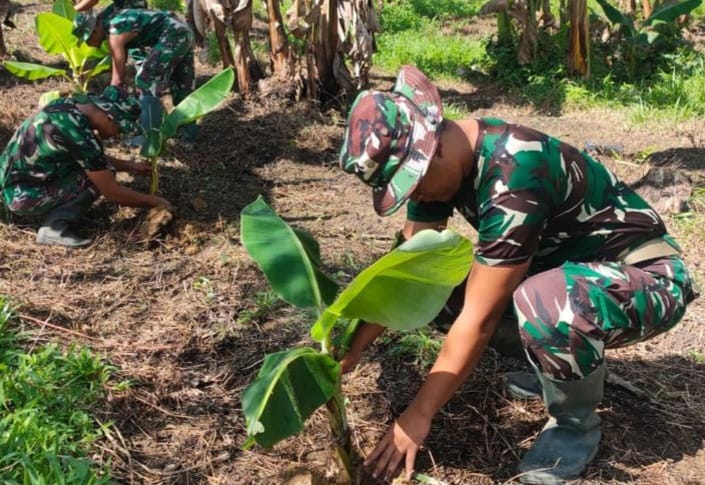 Wujudkan Ketahanan Pangan, Satgas Yonif 143/TWEJ Buka Kebun Bersama Di Papua