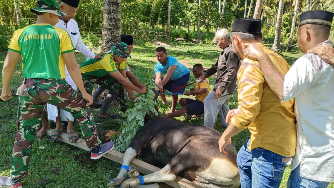 Satgas Yonarmed 1 Kostrad Ramaikan Perayaan Idul Adha Di Daerah Penugasan