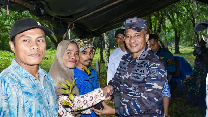 Kembalikan Kejayaan Cengkeh di Maluku, Danlantamal IX Tanam Bibit Cengkeh Bersama IPPMAP dan Moluccas Coastal Care