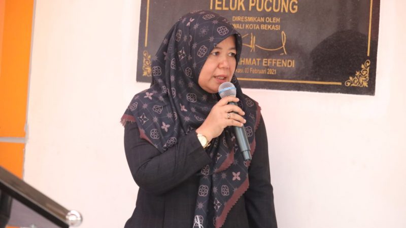 DPPKB Kota Bekasi Kerja Sama RSUD Type D Teluk Pucung Untuk Bhakti Sosial Gebyar KB Metode IUD dan Implan