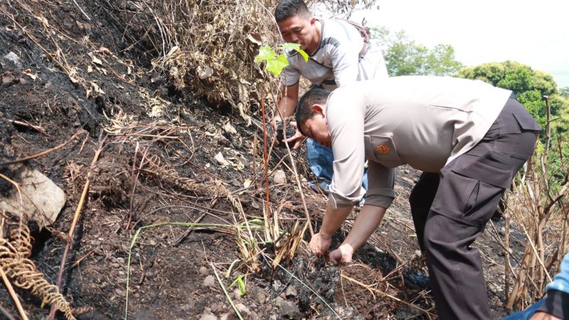 Pasca terjadi Karhutla, Kapolres Simalungun Patroli dan Tanam Pohon di Haranggaol