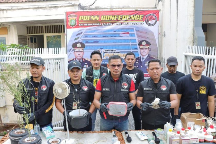 Polisi Berhasil Bekuk Pelaku Penanam Pohon Ganja Hidroponik di Kebon Jeruk