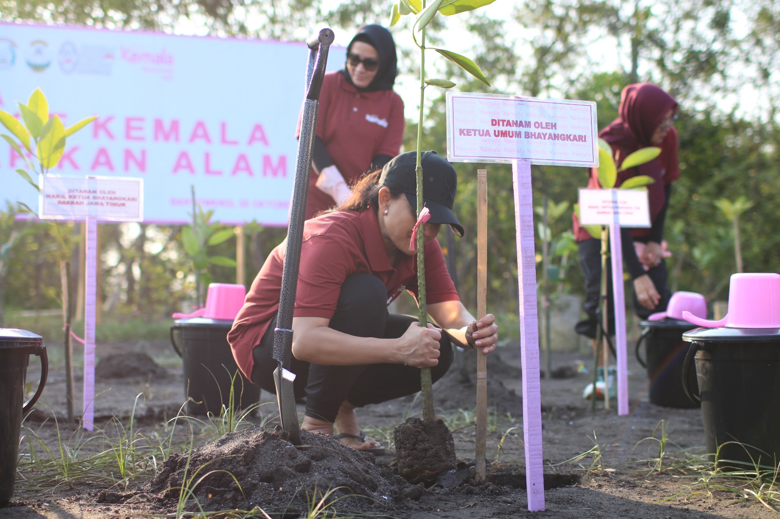 Bhayangkari Peduli, Ketua Umum Bhayangkari Melepas 700 Tukik dan Tanam Mangrove di Pantai Cemara Banyuwangi